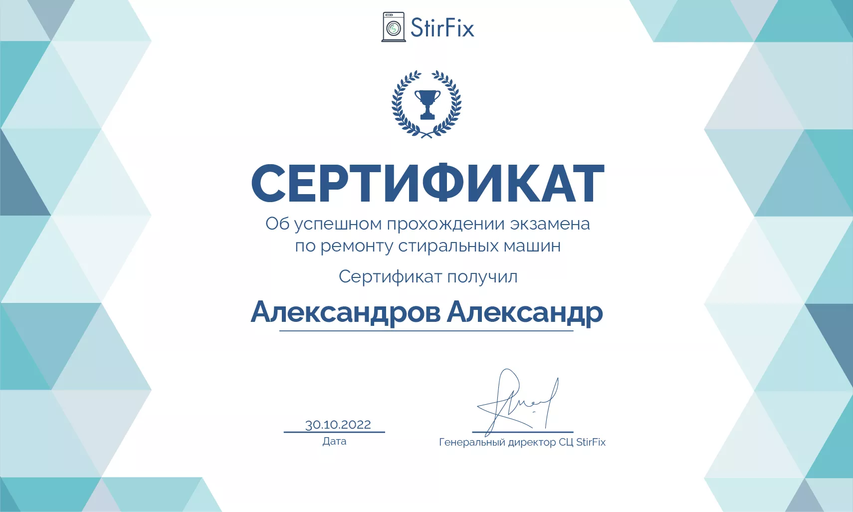 Александров Александр сертификат мастера по ремонту стиральных машин