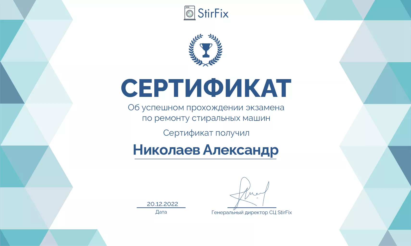 Николаев Александр сертификат мастера по ремонту стиральных машин